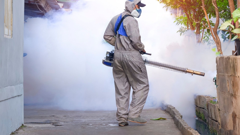 Sốt xuất huyết ở người tiểu đường: Những cảnh báo không thể xem nhẹ 4