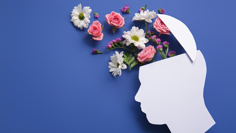 Chỉ số SQ giữ vai trò nền tảng trong việc định hướng giá trị sống và xây dựng bản sắc cá nhân