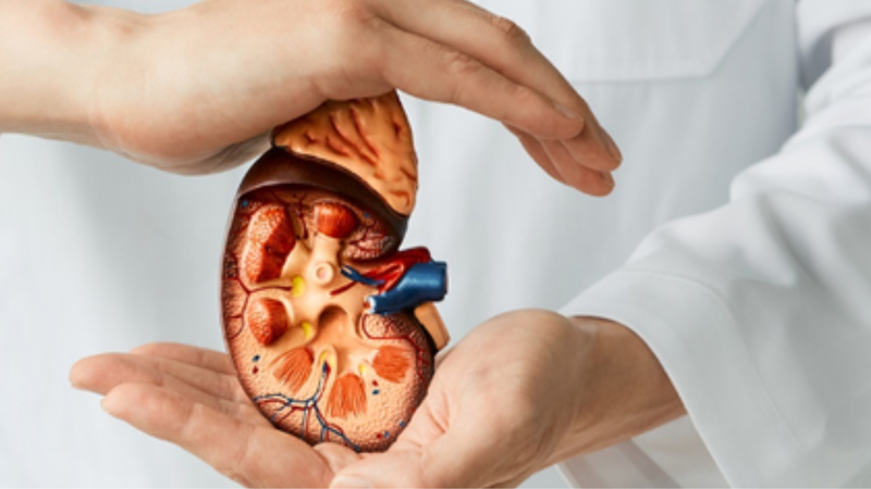 Statin là gì? Một số lưu ý khi dùng thuốc Statin hạ mỡ máu 3