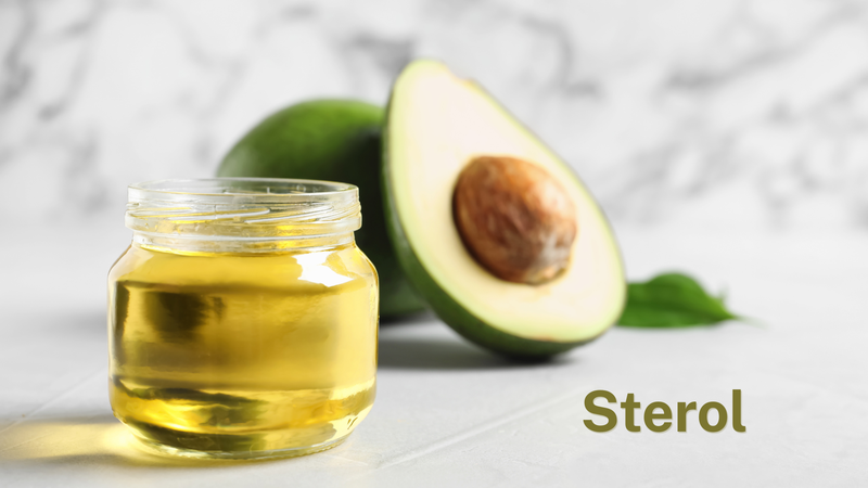 Sterol thực vật là gì? Là các hợp chất tự nhiên có cấu trúc tương tự cholesterol nhưng nằm trong màng tế bào thực vật