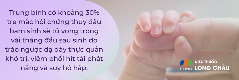 Sự cần thiết của việc tiêm phòng thủy đậu - Các bằng chứng khoa học về tính hiệu quả và an toàn của vắc xin text 1