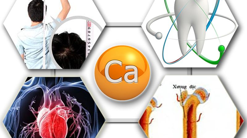 Sử dụng đồng thời canxi và vitamin C – Liệu có tốt cho sức khỏe 2