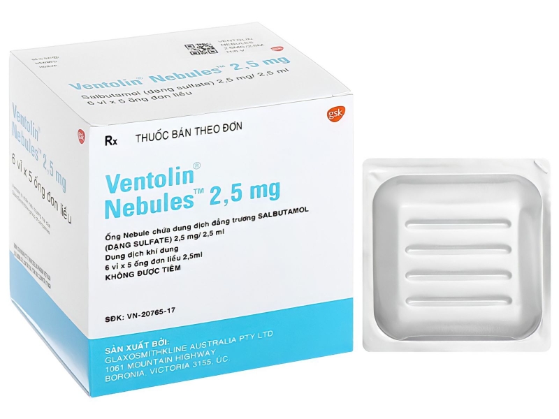 Sử dụng Ventolin 2.5 mg khí dung ở trẻ em trong bao lâu? 1