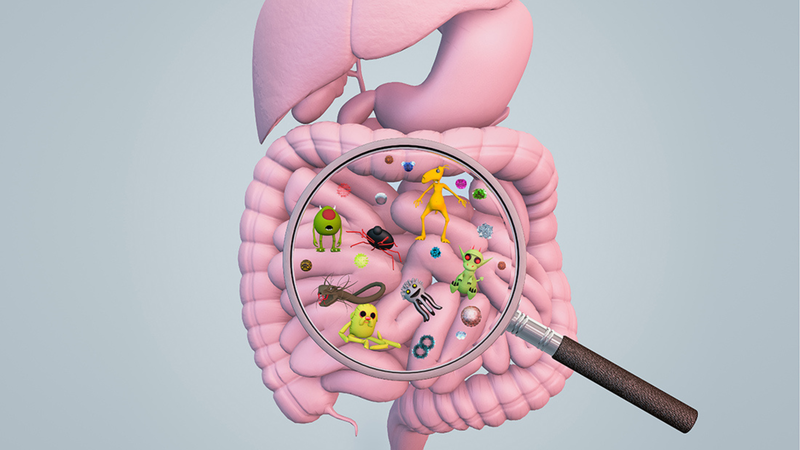 Sự gián đoạn của đồng hồ sinh học liên quan đến sự tiến triển nhanh chóng của ung thư trực tràng 3