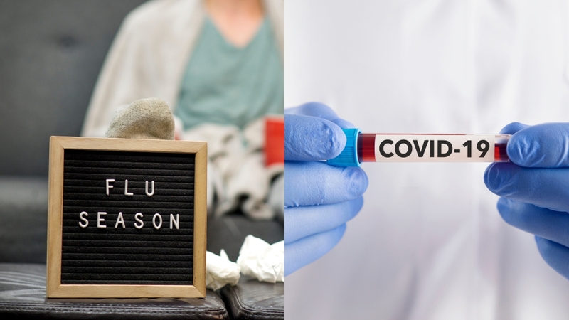 sự khác biệt giữa cảm cúm và covid 1