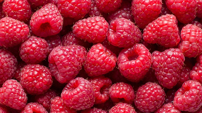Mâm xôi đỏ có màu đỏ tươi bắt mắt, vị chua ngọt hài hòa cùng hương thơm dễ chịu