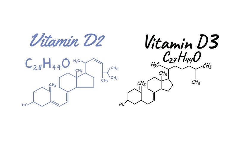 Tìm hiểu chi tiết về sự khác nhau giữa vitamin D2 và D3 1