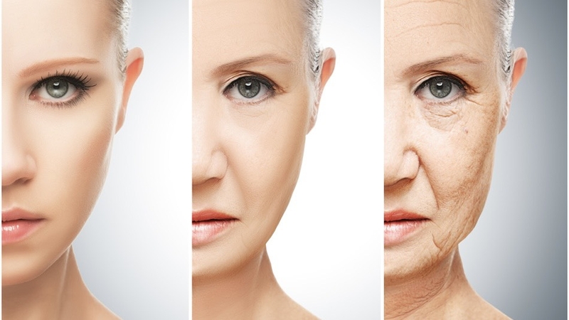 su-lao-hoa-te-bao-truy-tim-chia-khoa-cho-tuoi-tho-va-suc-khoe (4).jpg