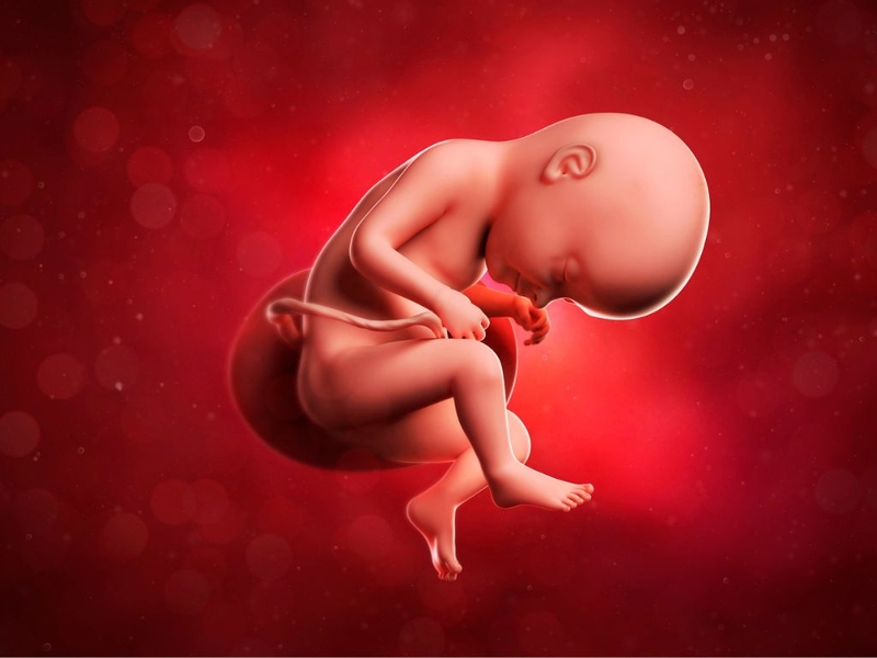 Sự phát triển của thai nhi 34 tuần và những thay đổi về sức khỏe của mẹ bầu 1