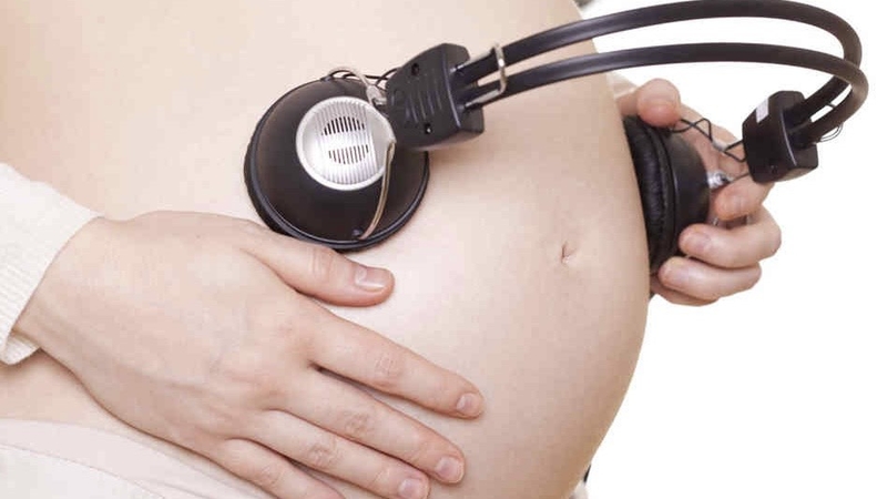 su-phat-trien-nao-bo-cua-thai-nhi 4