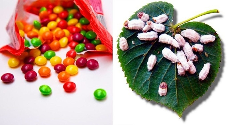 12 sự thật thú vị về thực phẩm mà có thể bạn chưa hề biết