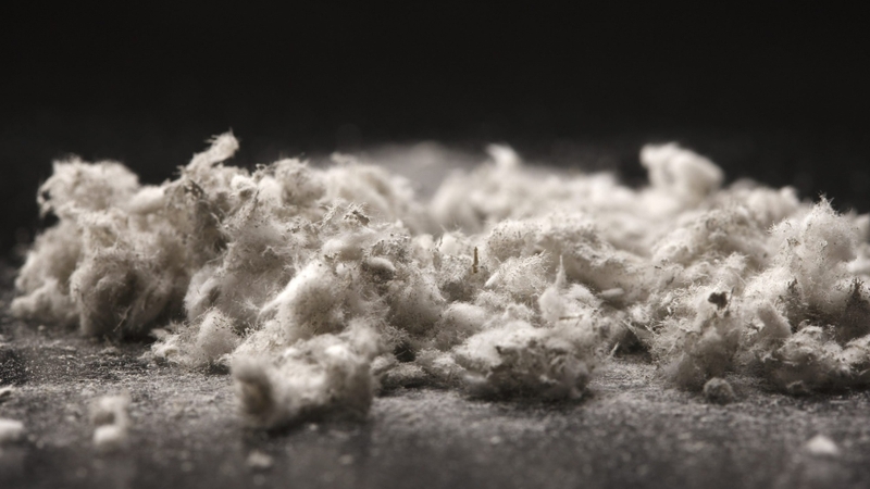 Bụi aminăng gây bệnh phổi mãn tính