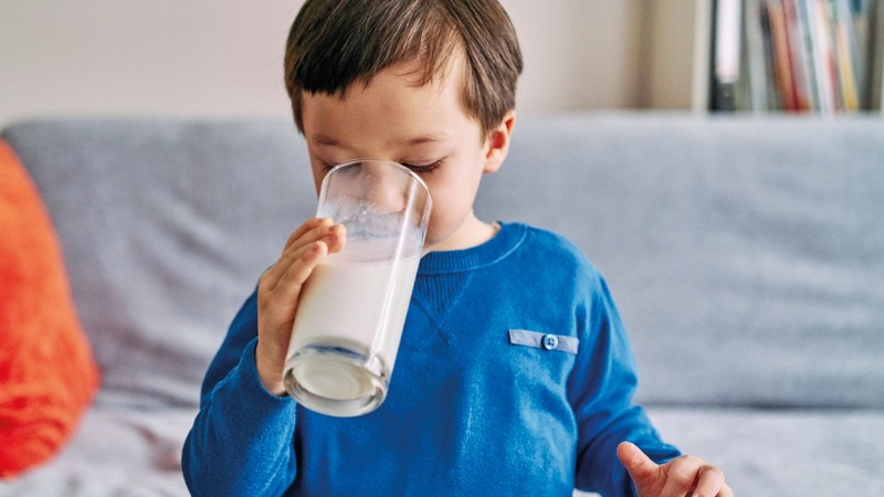 Nhiều cha mẹ đang tìm kiếm loại&nbsp;sữa bột cho bé 2 tuổi tăng chiều cao