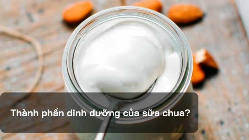 Sữa chua là gì? Thành phần dinh dưỡng và lợi ích 2