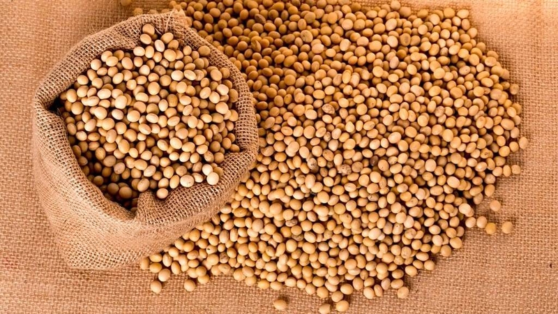 Với sữa chua từ đậu nành, lượng protein tương đương với sữa chua bò