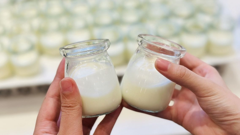 Nhiều người muốn biết&nbsp;ủ sữa chua 24 tiếng có bị hỏng không?
