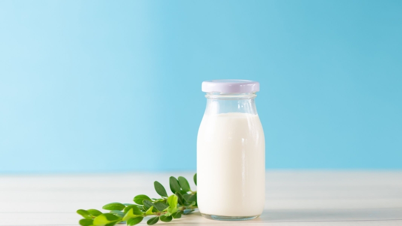 Sữa tươi là sản phẩm được chế biến trực tiếp từ sữa động vật, chủ yếu là sữa bò