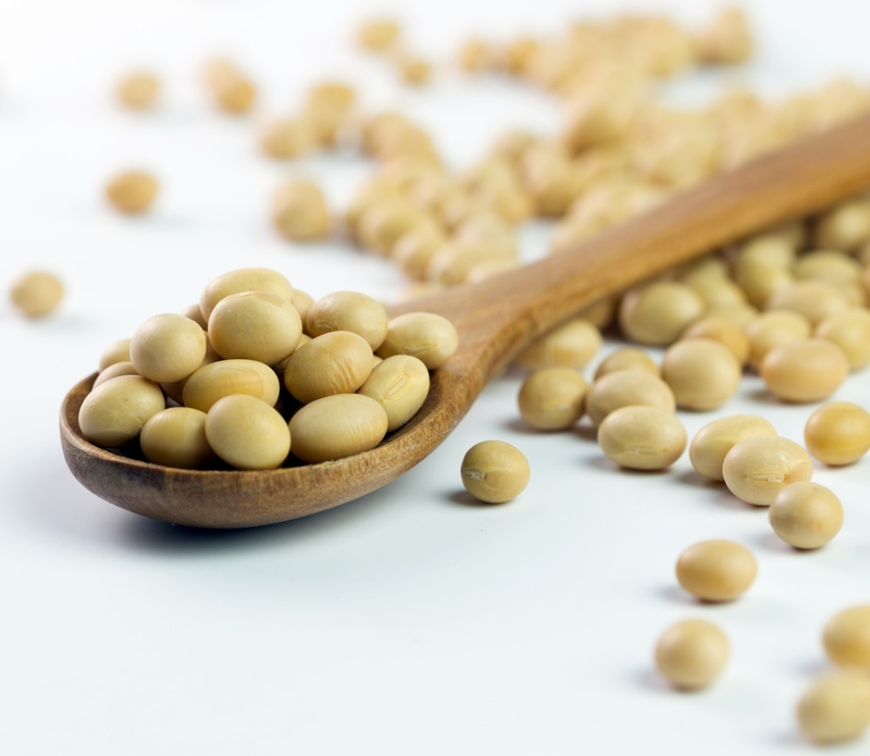 Sữa đậu nành có gây ung thư không? Những ai không nên tiêu thụ đậu nành? 1