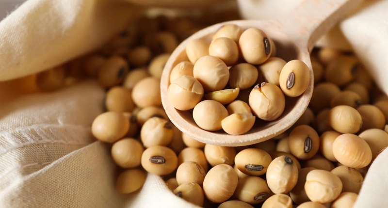 Sữa đậu nành mè đen và những công dụng tuyệt vời với sức khỏe 2