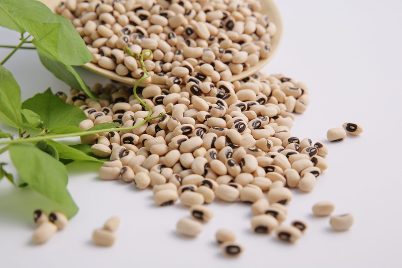 Sữa đậu trắng: Lợi ích sức khỏe và lưu ý khi sử dụng 1