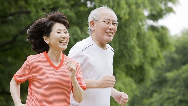 Sữa Ensure Gold StrengthPro - Dinh dưỡng chất lượng cho người cao tuổi 2