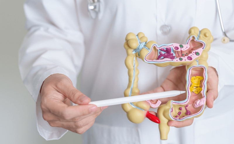 Sữa hạt chia có tác dụng gì? Cách làm sữa hạt chia ngon và bổ 3