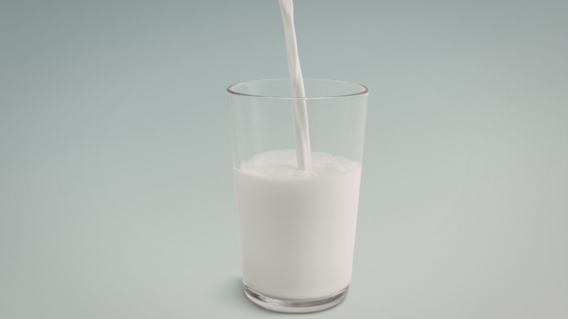 Sữa không chứa lactose là nguồn cung cấp protein có giá trị sinh học cao, giúp duy trì và tái tạo khối cơ