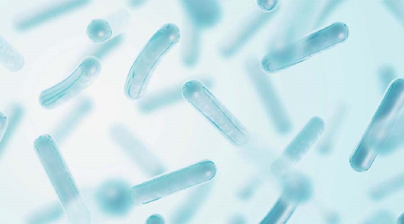 Sữa mát là gì? Có thực sự tốt cho sự phát triển của trẻ? 2