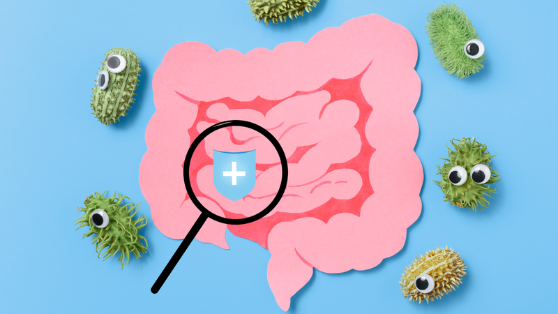 sua-men-tieu-hoa-co-loi-ich-gi-cho-he-tieu-hoa 1