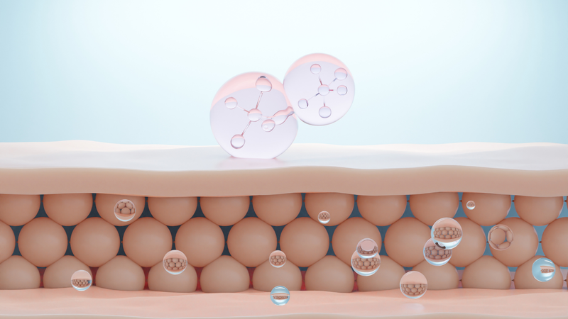 Amino acid giúp duy trì độ ẩm và hỗ trợ chức năng bảo vệ của da