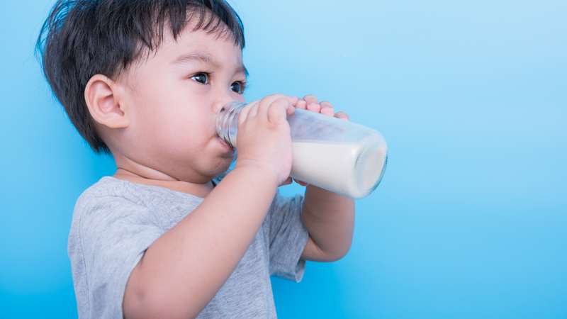 Sữa tươi là nguồn bổ sung dinh dưỡng rất hữu ích