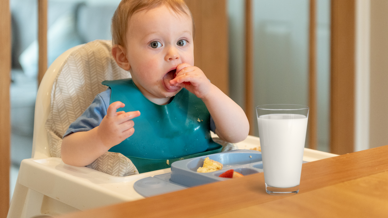 Kết hợp sữa tươi cùng với chế độ ăn uống đa dạng cho bé