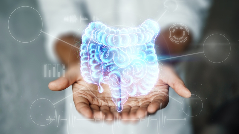 Sức khỏe đường ruột có quan trọng không? Làm cách nào để cải thiện? 1