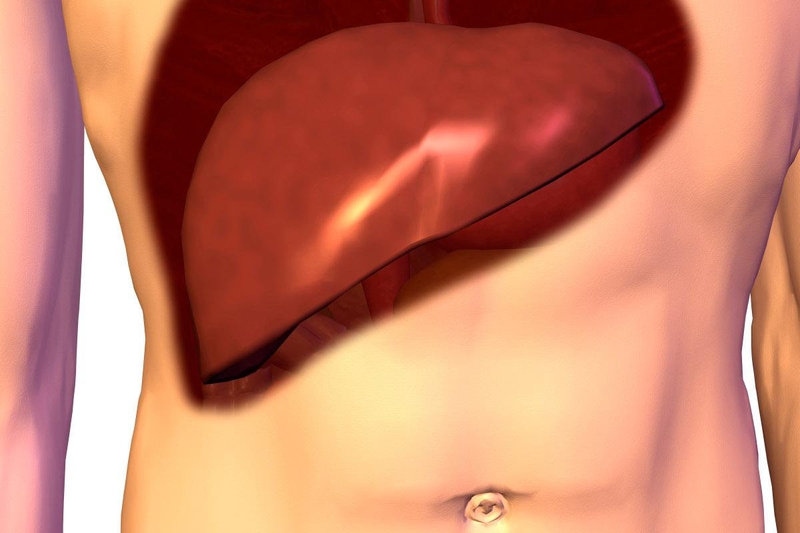 Sức khỏe: Hỗ trợ giải độc gan2