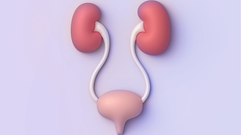 /suc-khoe-than-va-duong-tiet-nieu-nhung-dieu-khong-the-bo-qua 2