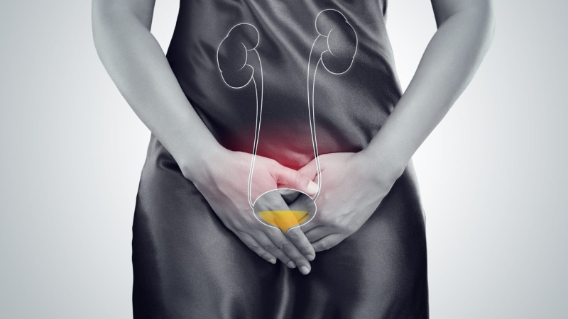 /suc-khoe-than-va-duong-tiet-nieu-nhung-dieu-khong-the-bo-qua 3