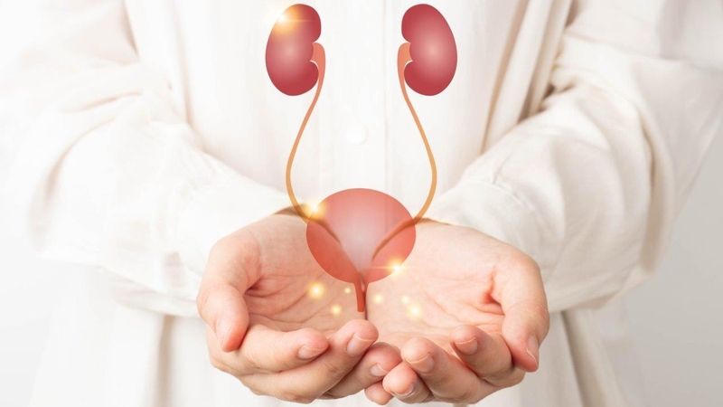 /suc-khoe-than-va-duong-tiet-nieu-nhung-dieu-khong-the-bo-qua 4