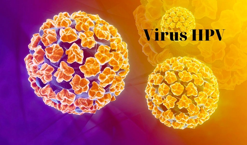 Sùi mào gà giai đoạn đầu biểu hiện như thế nào? Cách phòng ngừa? 1