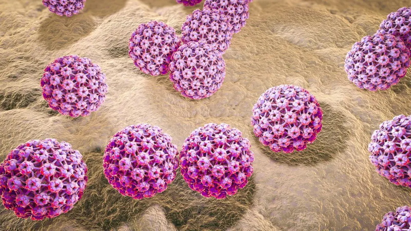 Sùi mào gà nhẹ nếu không điều trị có thể tự khỏi không? 2