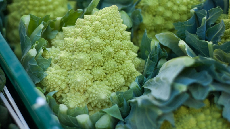 Súp lơ san hô là gì? Hàm lượng dinh dưỡng và lợi ích đối với sức khỏe 1