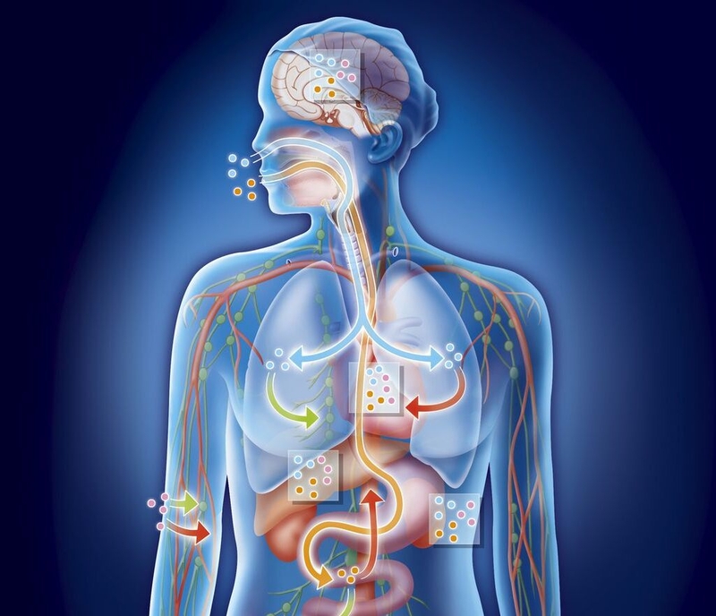 Suy đa tạng ở người già: Nguyên nhân, triệu chứng, chẩn đoán và điều trị 2