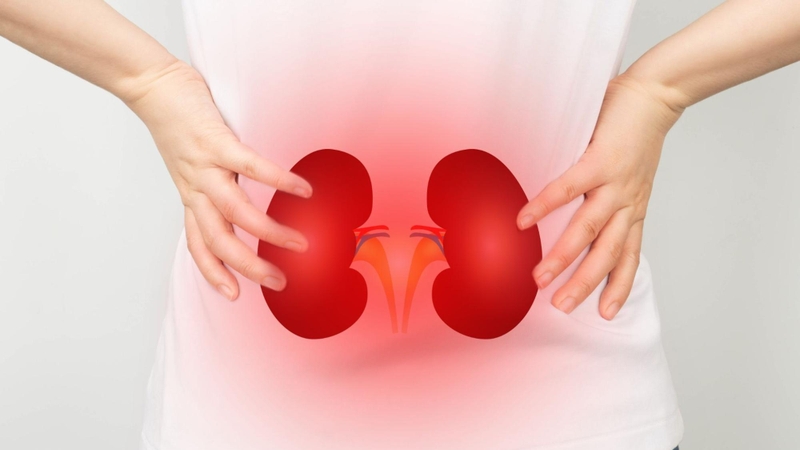 Suy thận có di truyền không? Cách phòng ngừa bệnh hiệu quả 3