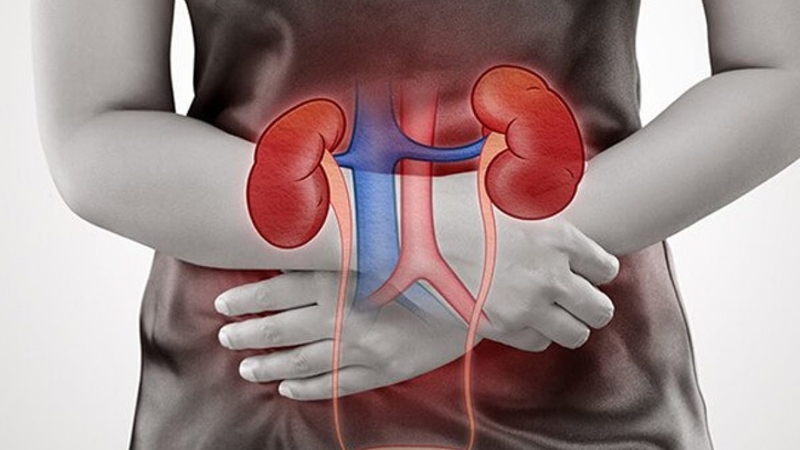 Suy thận có di truyền không? Cách phòng ngừa bệnh hiệu quả 4