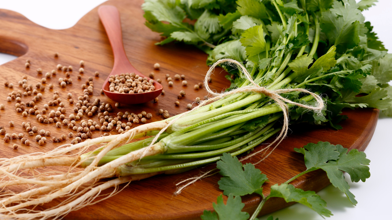 Người mắc suy thận cần cân nhắc kỹ trước khi sử dụng nước ngò rí thường xuyên