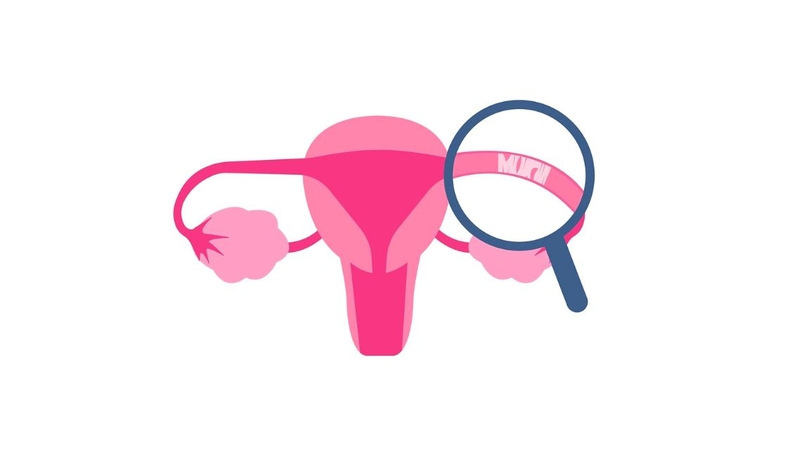 Giải đáp thắc mắc: Tắc 1 bên vòi trứng có thai được không 1