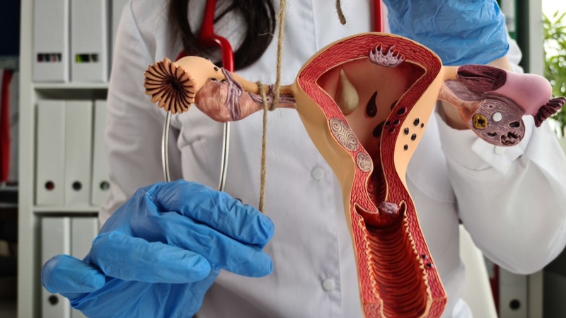 Tắc 2 vòi trứng có thai tự nhiên được không? Phương pháp mang thai an toàn 1