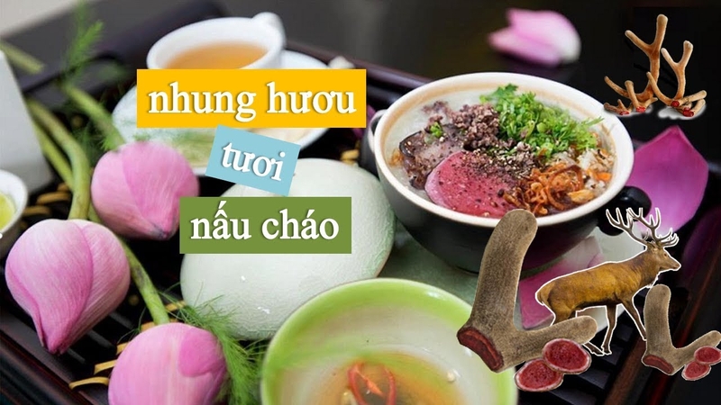 Tác dụng chữa bệnh của nhung hươu tươi 4