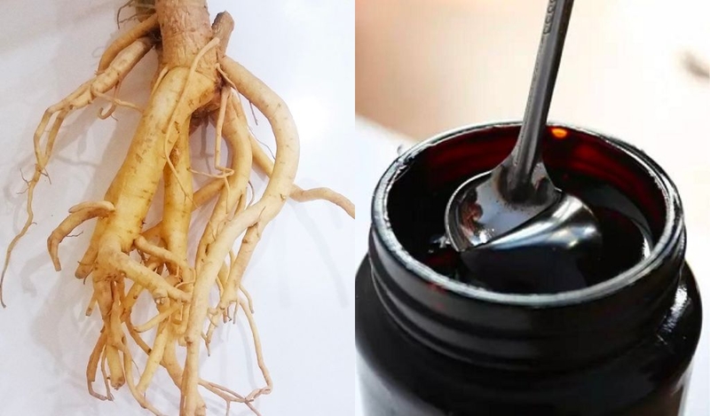 Tác dụng của cao đinh lăng là gì bạn đã biết chưa? 1