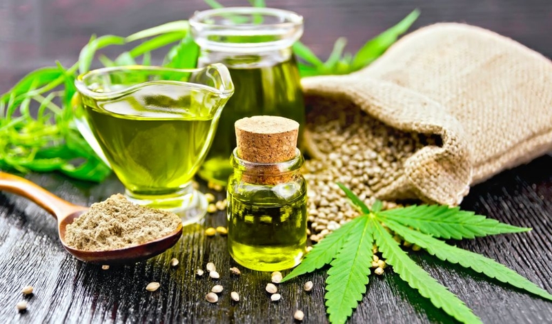 Tác dụng của cây gai dầu và hạt gai dầu với sức khỏe 2