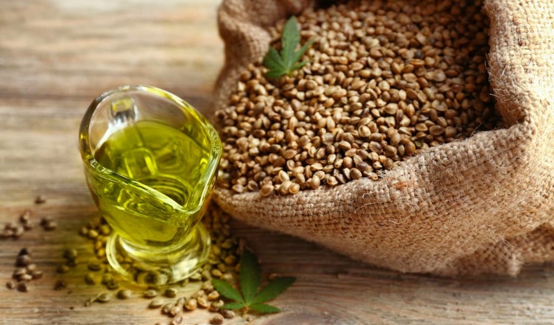 Tác dụng của cây gai dầu và hạt gai dầu với sức khỏe 3